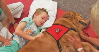 Un perro es llevado ante un niño “casi sin vida” y pasó un milagro
