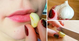 8 Maneras de curar un herpes labial en un instante