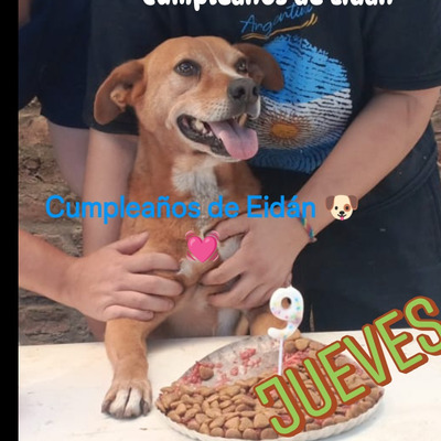 Comentario con imagen en Genial.guru