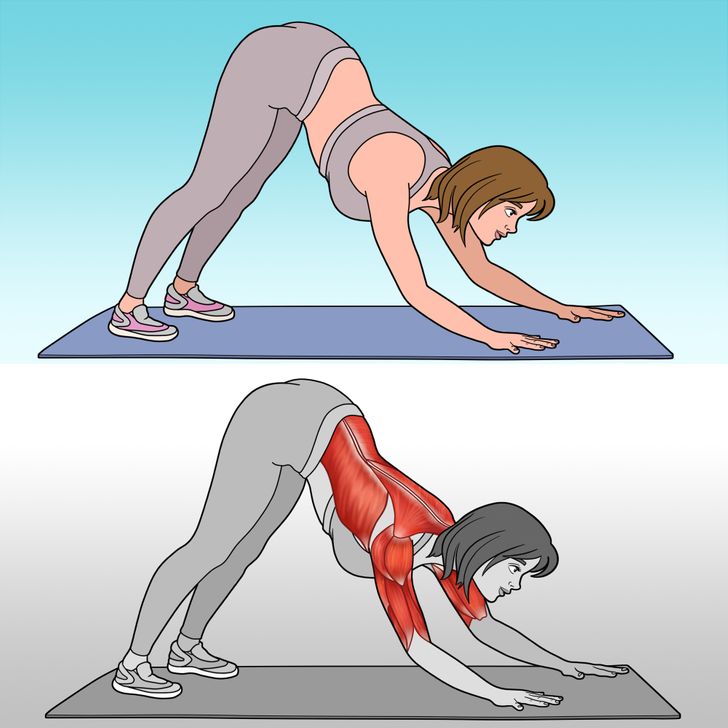 El ejercicio del gusano, la sencilla actividad que ayuda a tonificar abdomen, brazos y glúteos