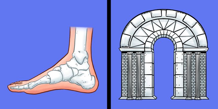 Todo el tiempo James Dyson Normal Por qué los pies “crecen” con la edad, y cómo puedes evitarlo