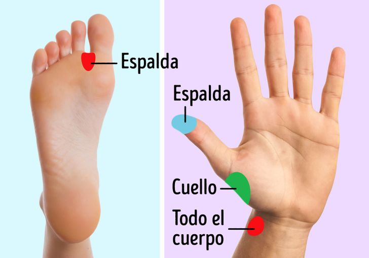 Metropolitano Grava Ten Confianza Puntos En El Cuerpo Para Relajar 