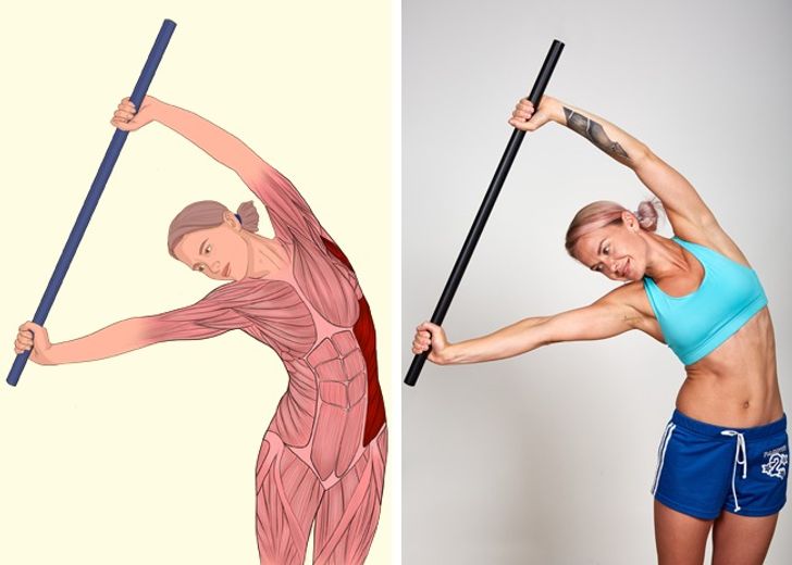 18 Ilustraciones que muestran claramente qué músculos estás estirando