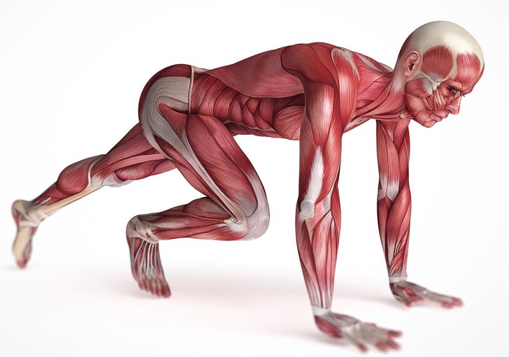10 Ejercicios fáciles para acabar con el dolor de espalda y tonificar tus abdominales al mismo tiempo