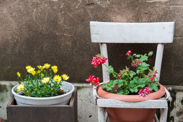 18 Maneras de hacer un jardín en tu casa
