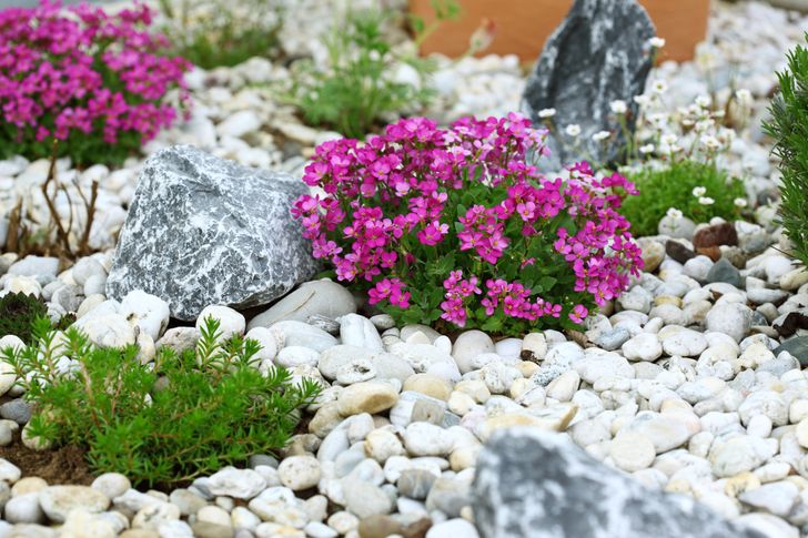20 Ideas para decorar tu jardín con piedras y mejorar su aspecto / Genial