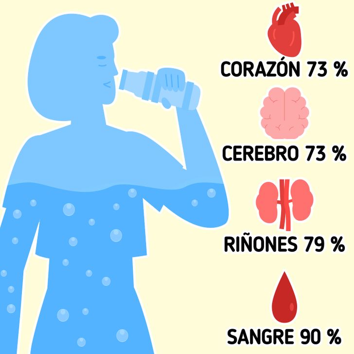 Cómo calcular la cantidad correcta de agua que necesitas beber cada día