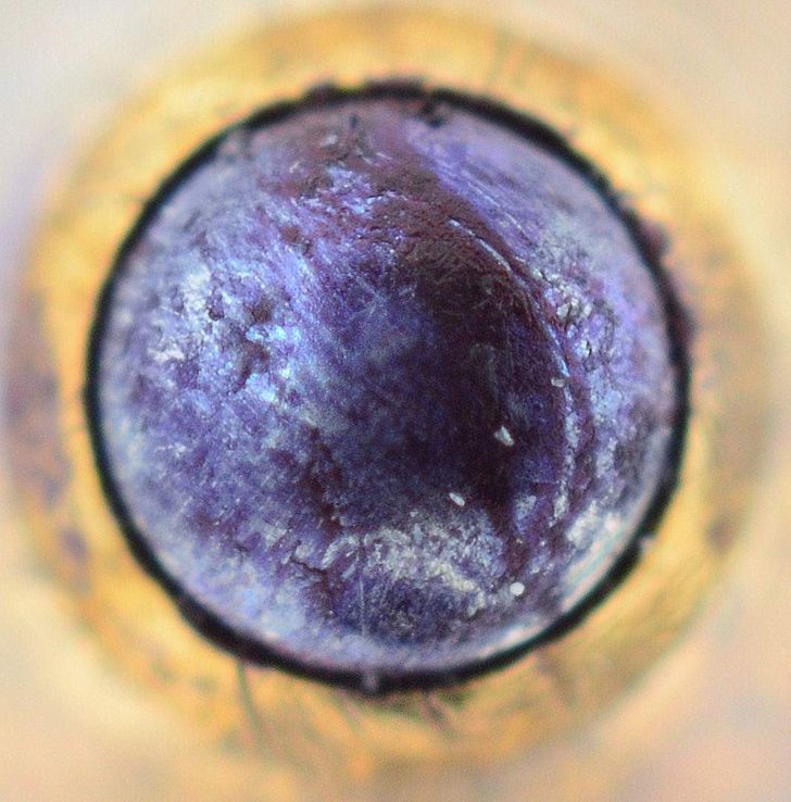 20 Cosas que se ven través de un microscopio
