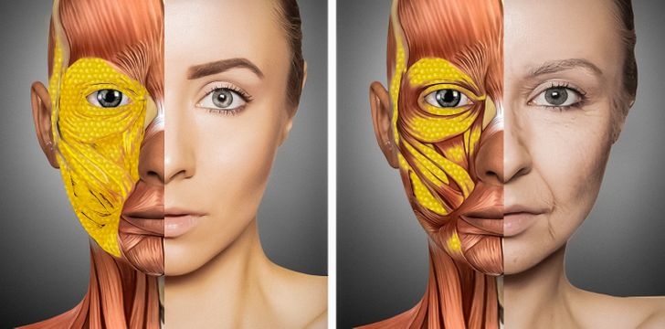 Cómo cambia nuestro cuerpo después de los 30 años y por qué el rostro envejece con mayor rapidez / Genial