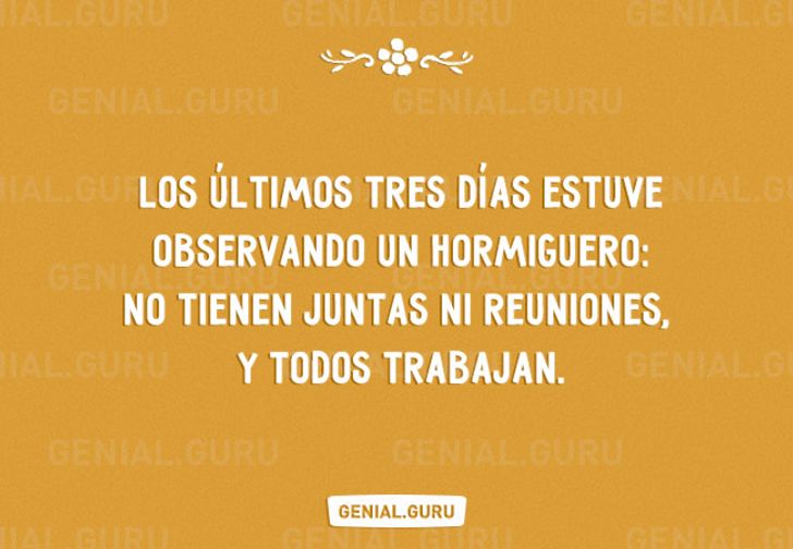 18 Frases acerca de nuestra vida / Genial