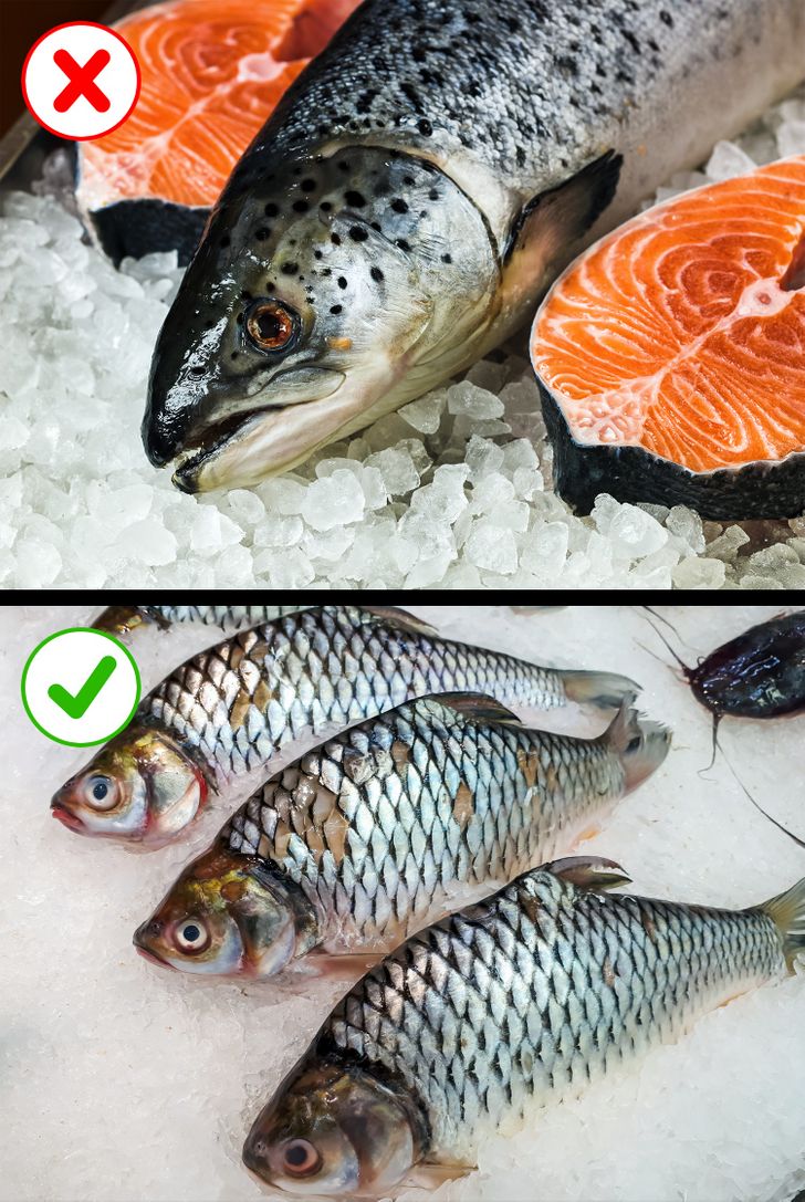 El pescado congelado es igual de nutritivo que el fresco? - Cutivalú Piura