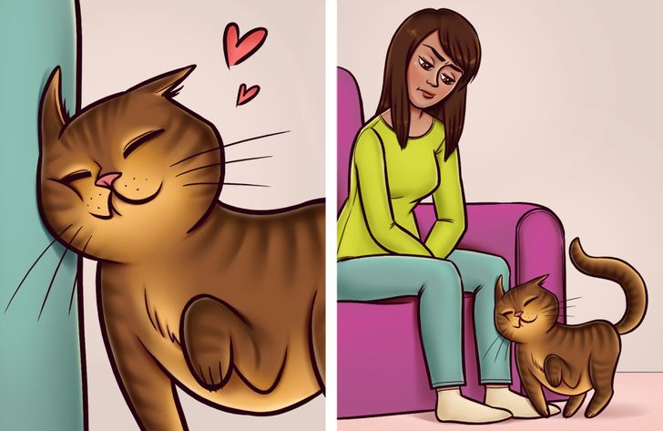7 Comportamientos raros de los gatos que tienen una explicación