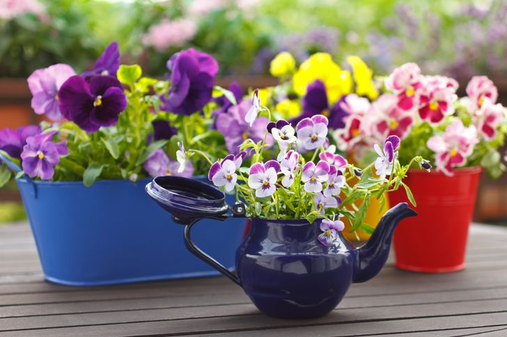 18 Maneras de hacer un jardín en tu casa